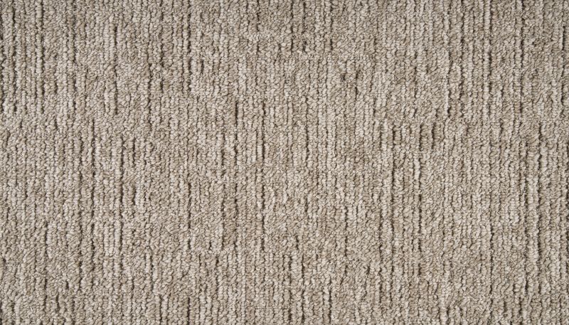 Shop Portico Everstrand Mephala Brown Swirl BP55D-858 Carpet