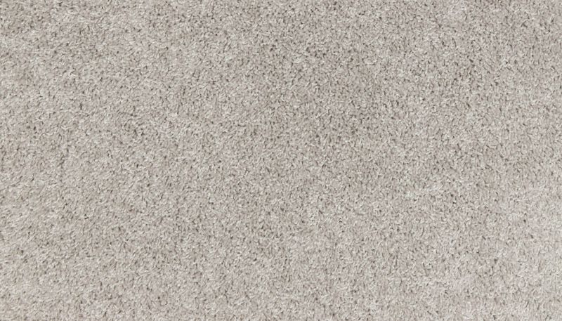 Portico Smartstrand Bold Appeal Plus Suede BP77C-822