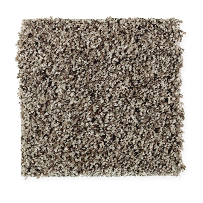 Portico Everstrand Soft Wonder Sand Dollar BP79A-848