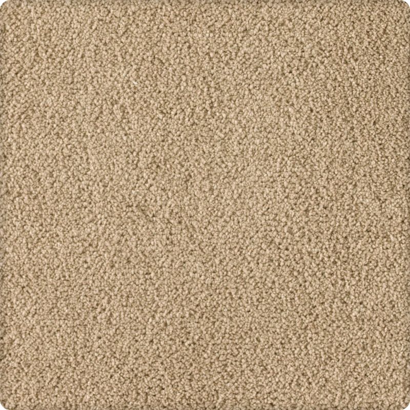 Karastan Smartstrand Silk Soft Excellence Optimism K8903-9755