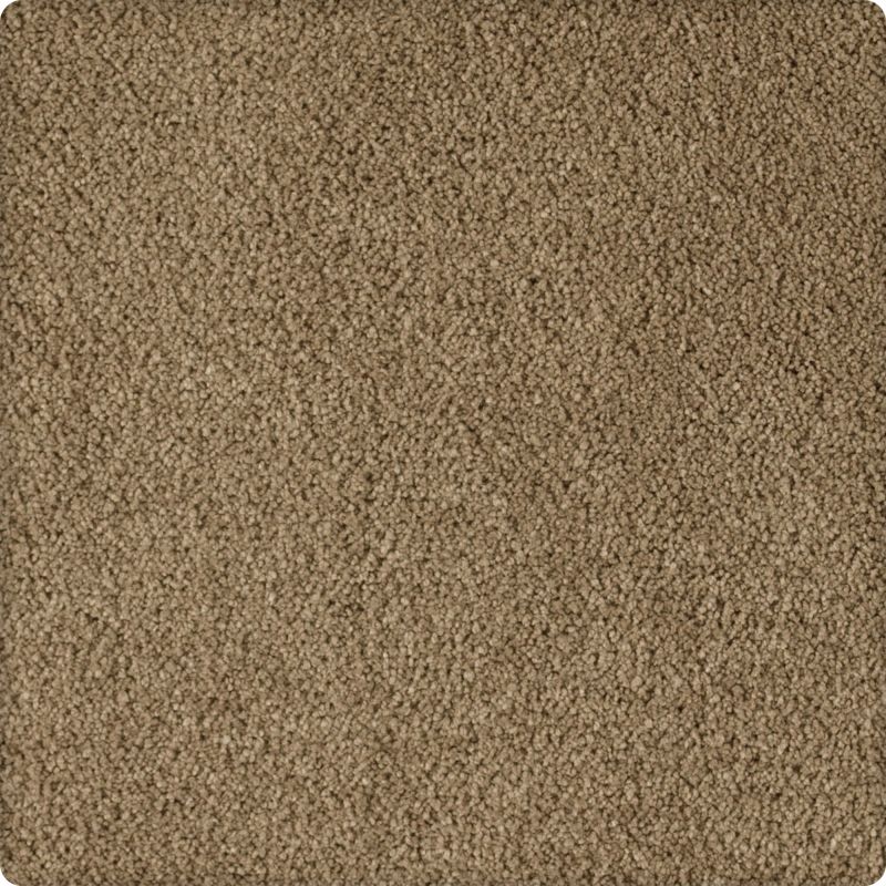 Karastan Smartstrand Silk Soft Excellence Tinderbox K8903-9834
