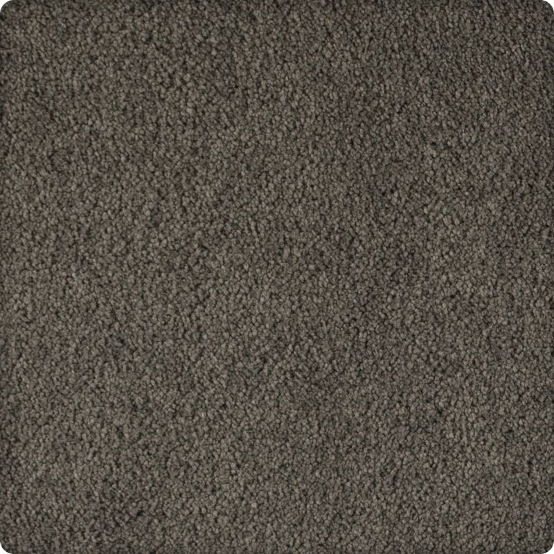 Karastan Smartstrand Silk Soft Excellence Raven K8903-9971