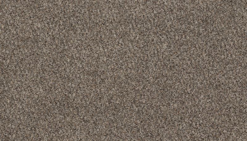 Karastan Smartstrand Natural Restoration Woodland K8955-9825