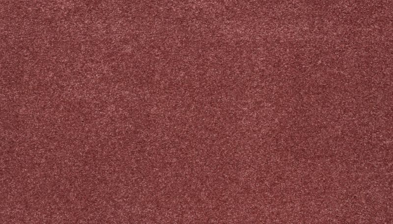Karastan Smartstrand Dramatic Intrigue Perfection K8971-9342