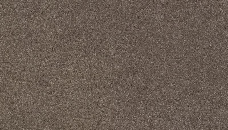 Karastan Smartstrand Dramatic Intrigue Portobello K8971-9824