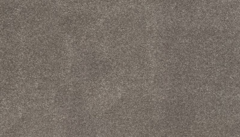 Karastan Smartstrand Dramatic Intrigue Sparrow K8971-9952
