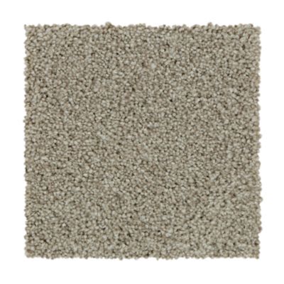 Mohawk Polished Shades II Cypress