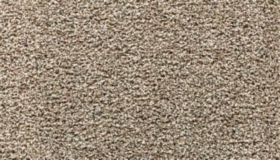Mohawk True Radiance Sand Dollar