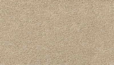 Mohawk Enchanting Glamour Colonial Ash