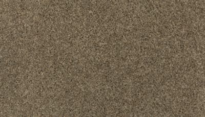 Mohawk Sophisticated Tones Blended Tan