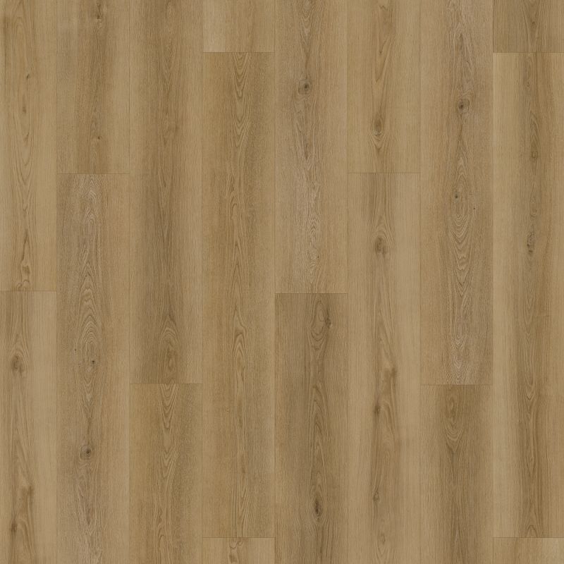 Portico Extreme Preferred Hamilton Terrace Athena PB009-841