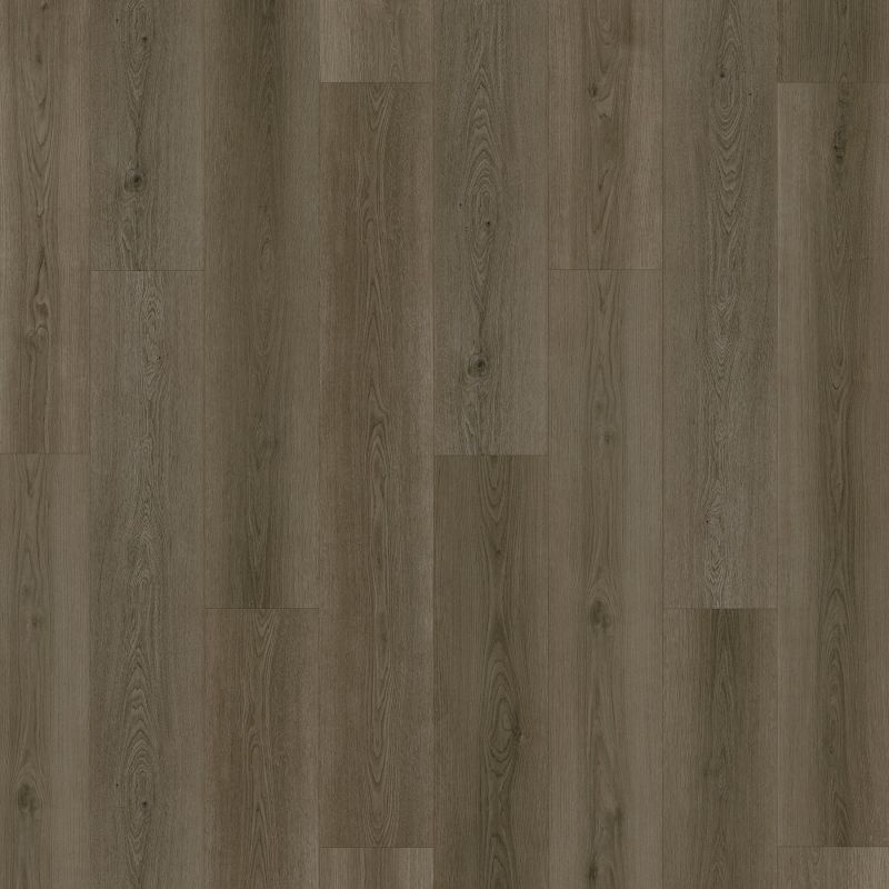 Portico Extreme Preferred Hamilton Terrace Barron PB009-871