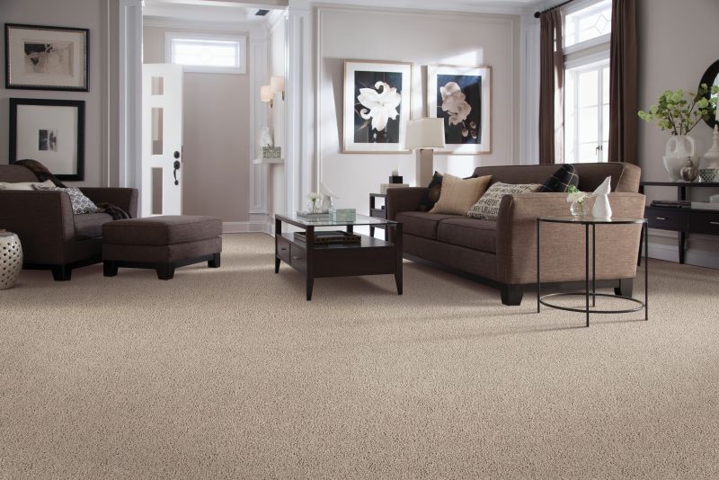 Shop Mohawk Smartstrand Home Charm Orion PM392-749 Carpet