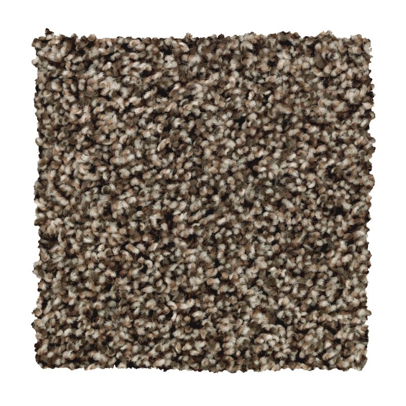 Shop Mohawk Smartstrand True Gem Dakota Dawn PM472-861 Carpet | AJ