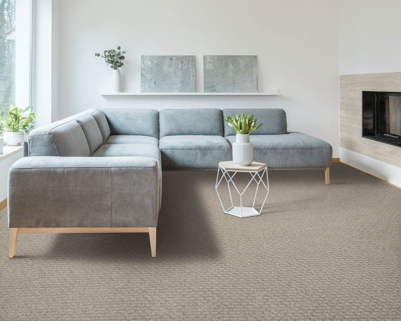 Shop Mohawk Everstrand Belmont Lane Shale PM520-984 Carpet | Mill