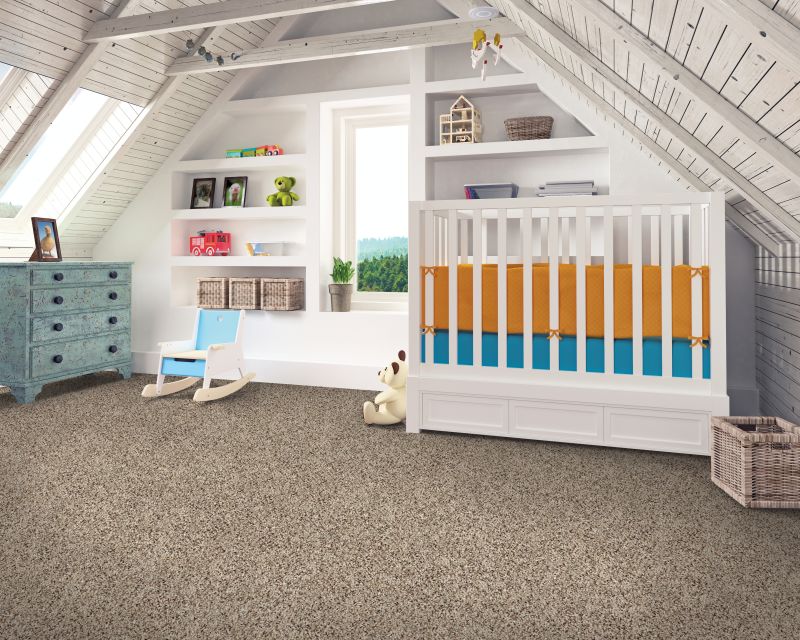 Shop Mohawk Everstrand Charger 2 Nougat PM541-834 Carpet | Hopkins