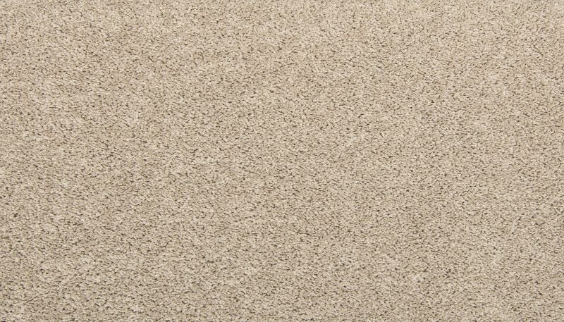Shop Mohawk Everstrand Frequencies Stony Glade PM560-749 Carpet