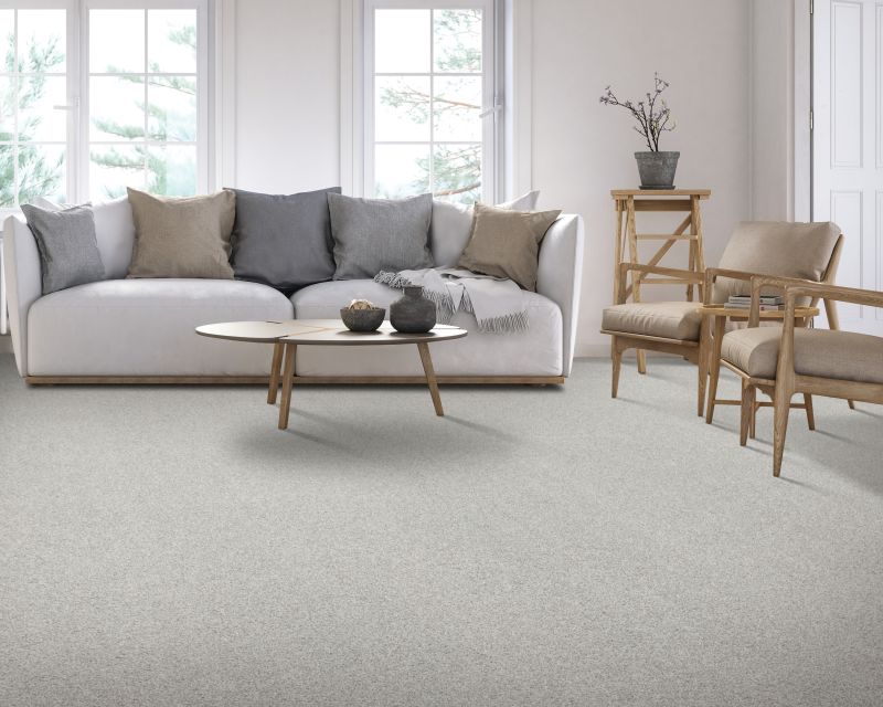Shop Mohawk Everstrand Chartered 002 PM563-002 Carpet | Carpetland USA