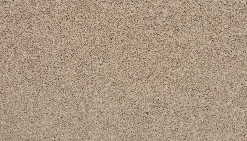 Shop Mohawk Everstrand Chartered 006 PM563-006 Carpet | Mill