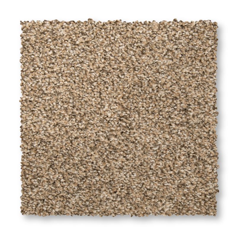 Shop Mohawk Everstrand Frequencies II Flax Seed PM569-789 Carpet