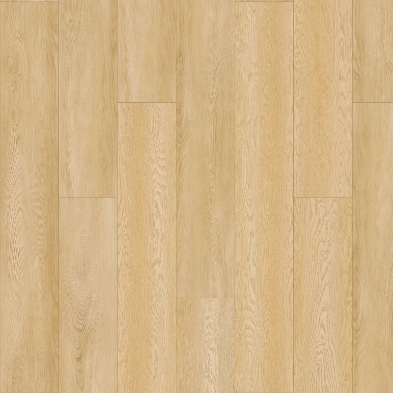 Portico Solidtech Plus Amber Shades Florence PST02-436