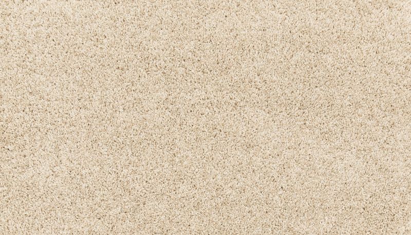Shop Mohawk Petpremier Paw Pathway Linen SP413-717 Carpet | Howard