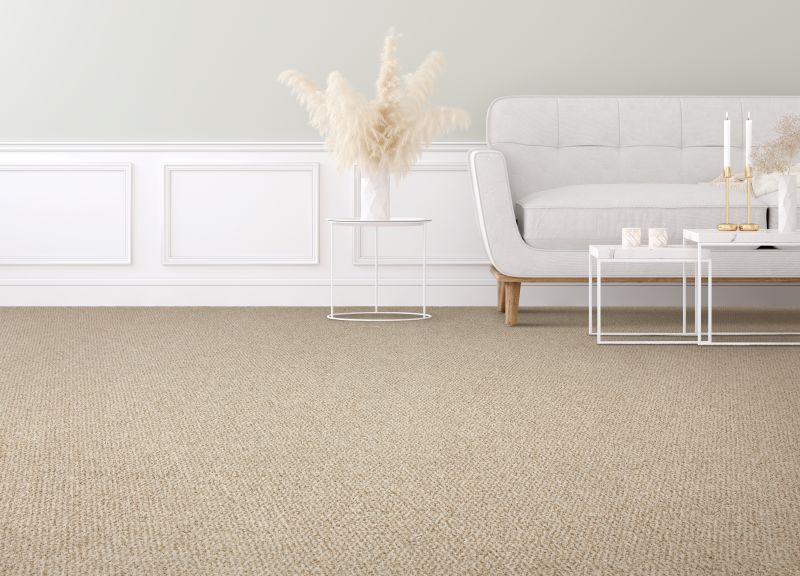 Shop Mohawk Everstrand Colorful Blend II 728 SP905-728 Carpet