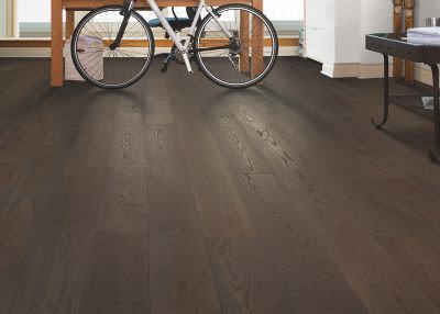 Mohawk Modern Vision Moonshine Oak