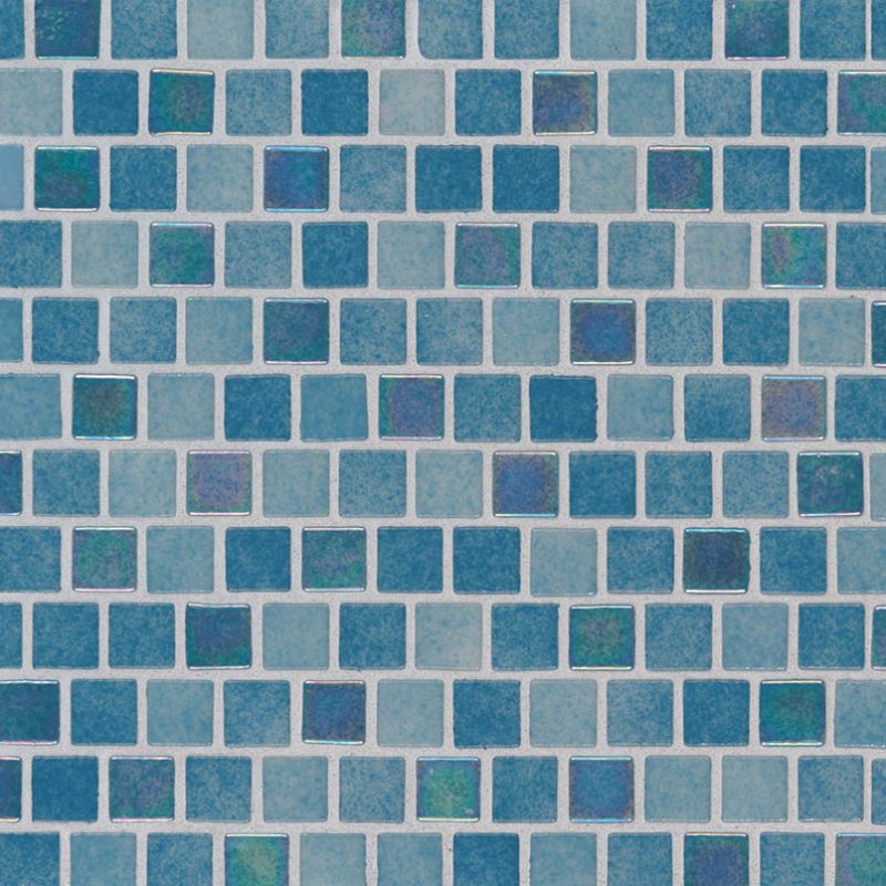 MSI Glass Tile Carribean Reef