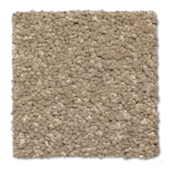 Shop Phenix Panache Silver Lining N225-10 Carpet | Flooring 101