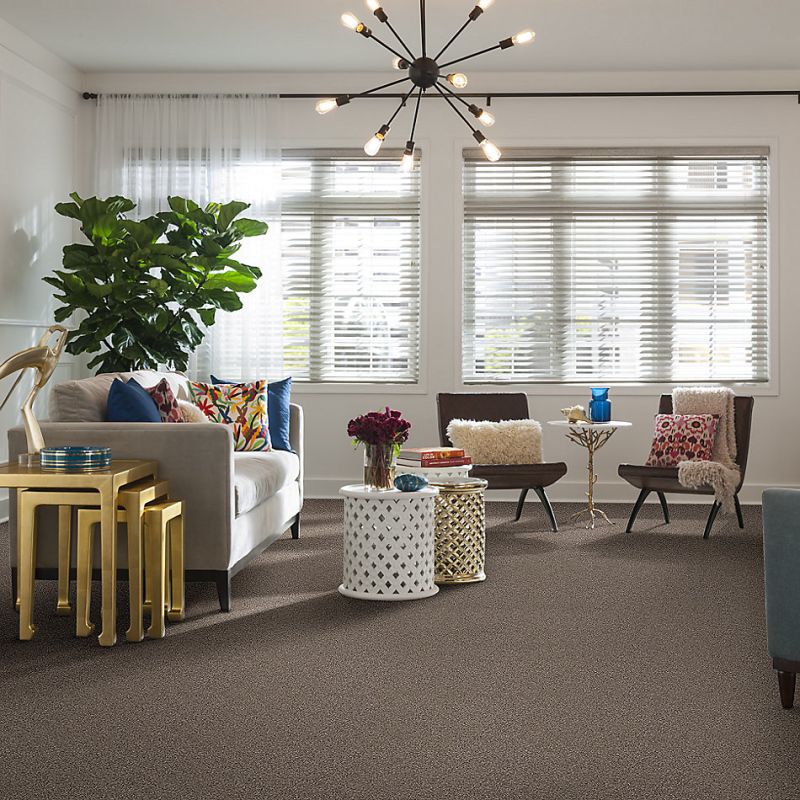 Shaw Floors Foundations Take The Floor Tonal Blue Triumph