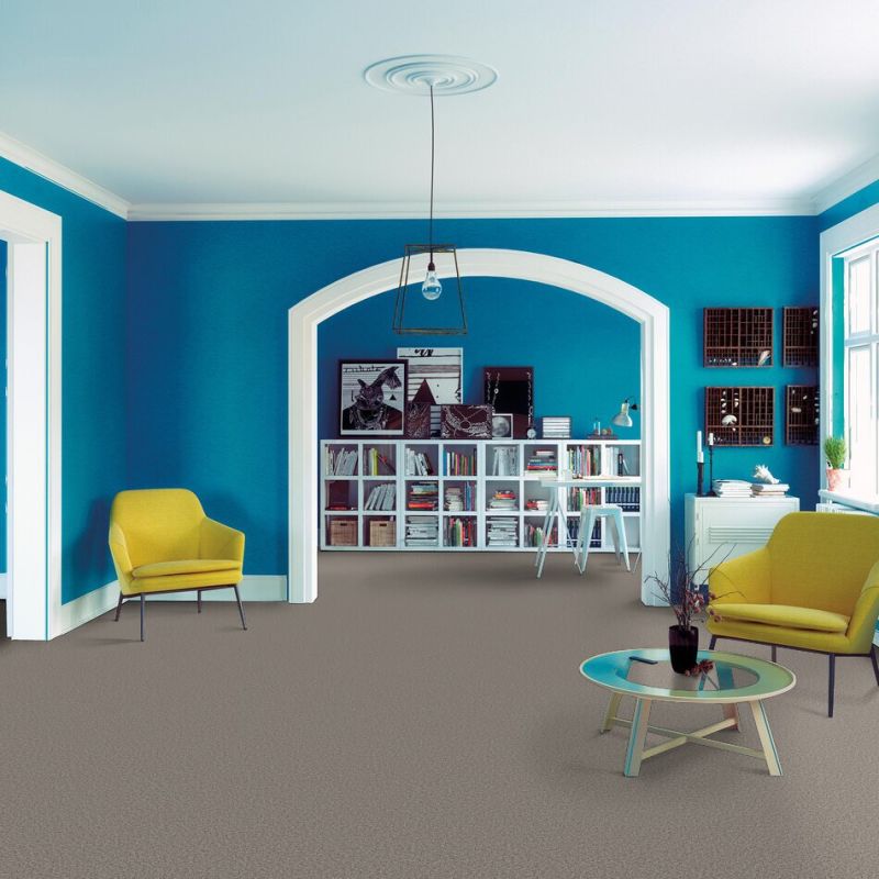 Shaw Floors SFA Tweed Comfort II Stand Out