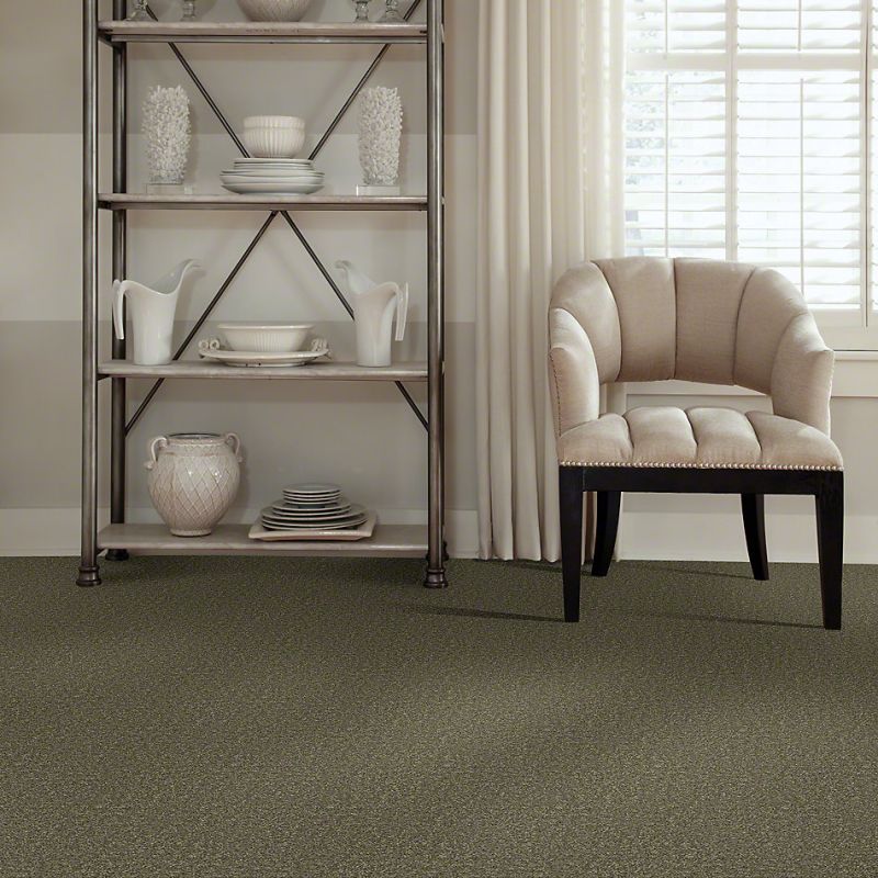 Shaw Floors SFA Drexel Hill II 12' Aloe