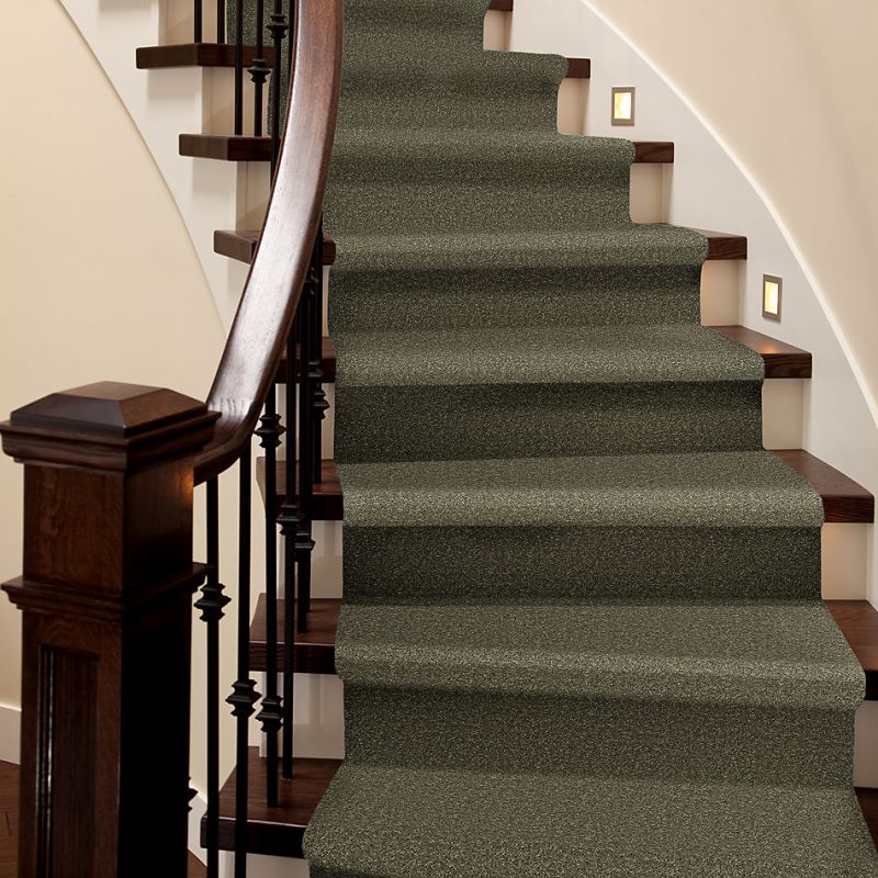 Shaw Floors Roll Special Xv304 Aloe