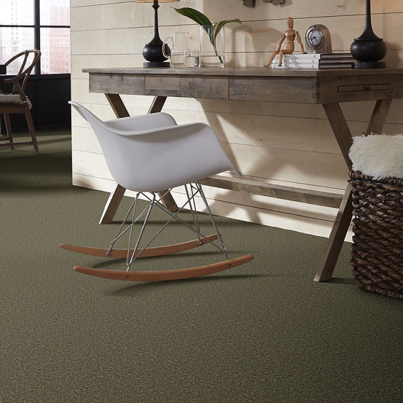 Shaw Floors Roll Special Xv304 Aloe