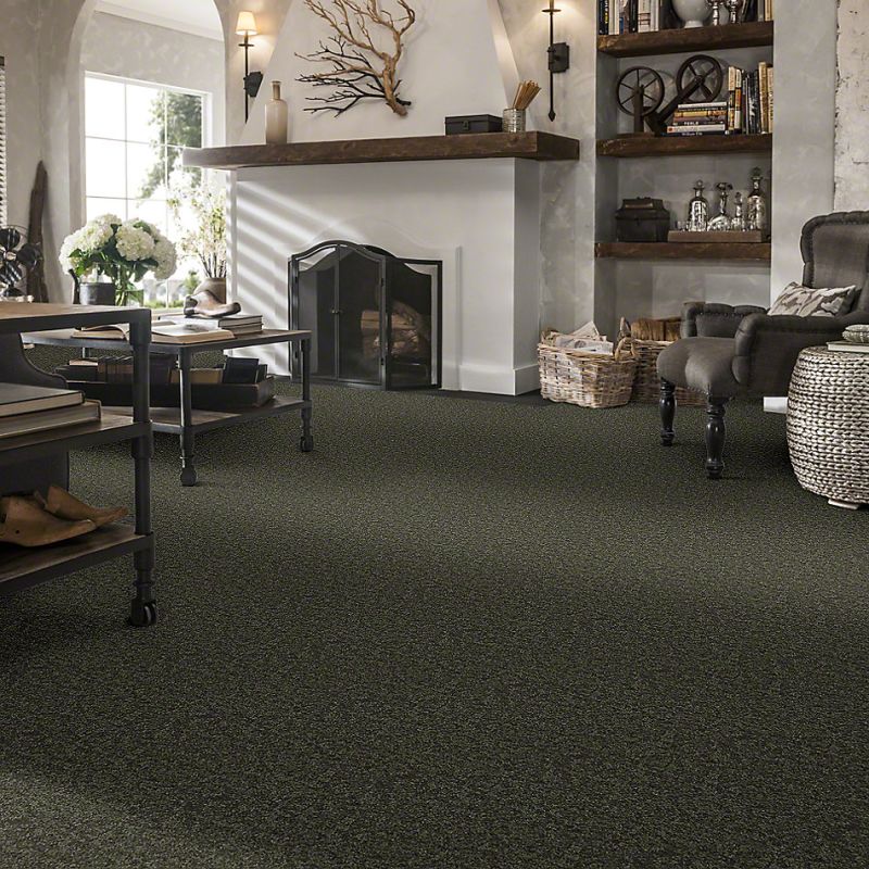 Shaw Floors SFA Take Part 15' Fern