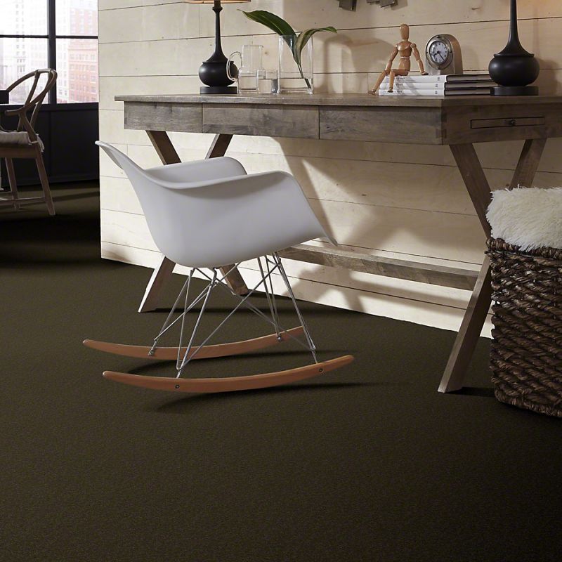 Shaw Floors SFA Born Better (s) Marshland