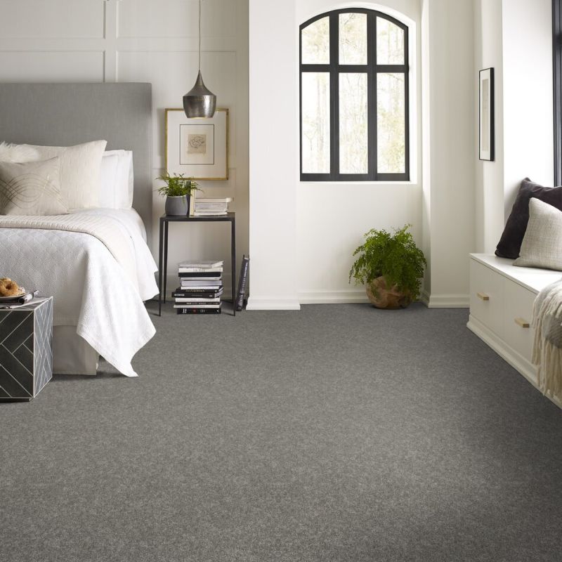 Shaw Floors Everlasting Tonal Dolphin