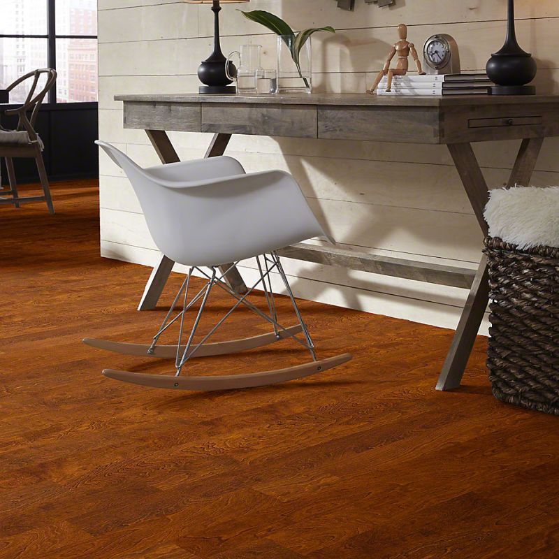 Shaw Floors SFA Tallahassee Burnside