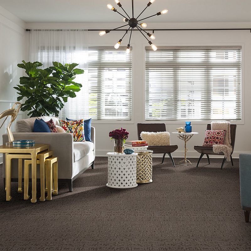 Shaw Floors Caress By Shaw Resort Chic Lg Ridgeview