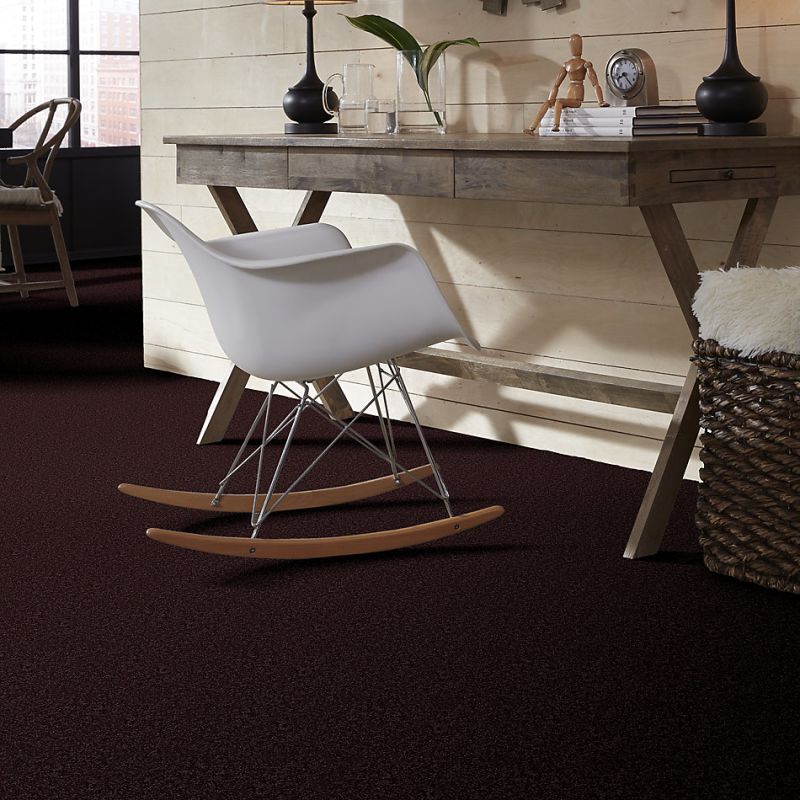 Shaw Floors Roll Special Qs216 Royal Purple