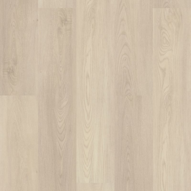Shaw Floors Resilient Residential Paladin Plus Silver Dollar