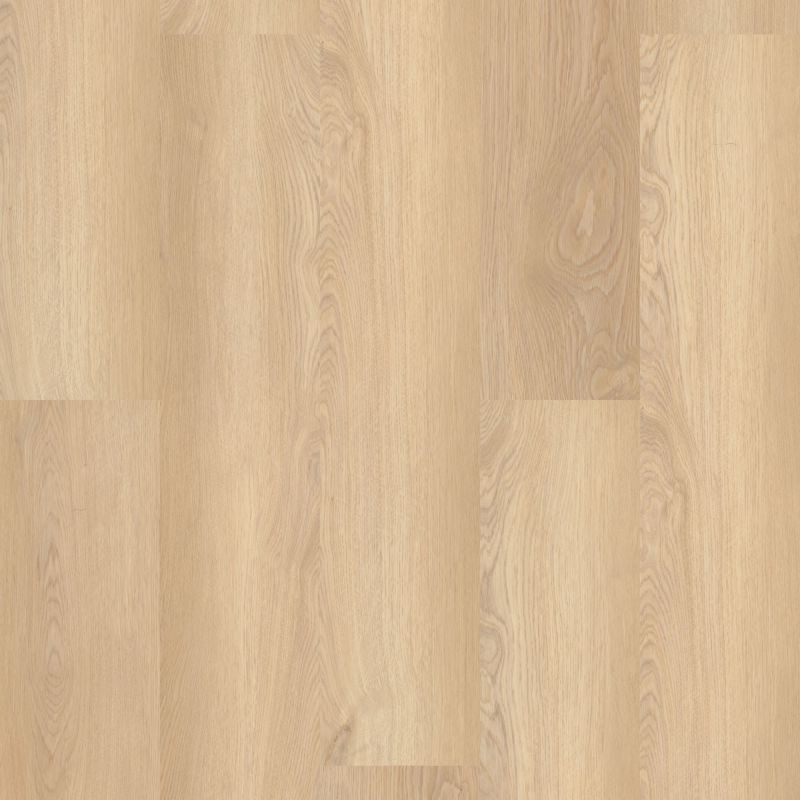 Shaw Floors Resilient Residential Paladin Plus White Sand
