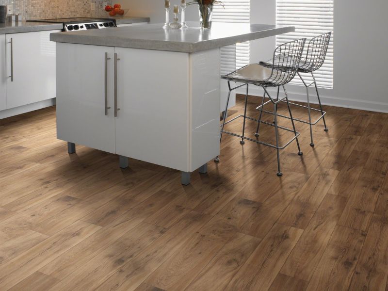 Shaw Floors Resilient Residential Coastal Classics Cooper