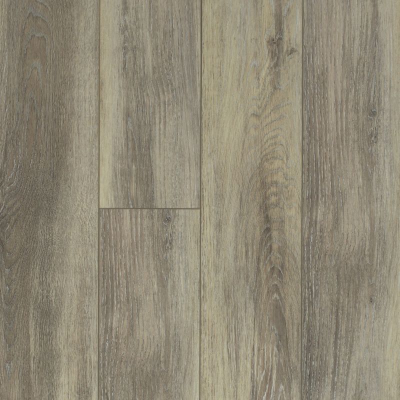 Shaw Floors Resilient Residential Tivoli Plus Delfino