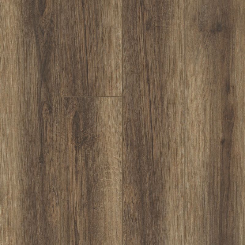 Shaw Floors Resilient Residential Tivoli Plus Cocco