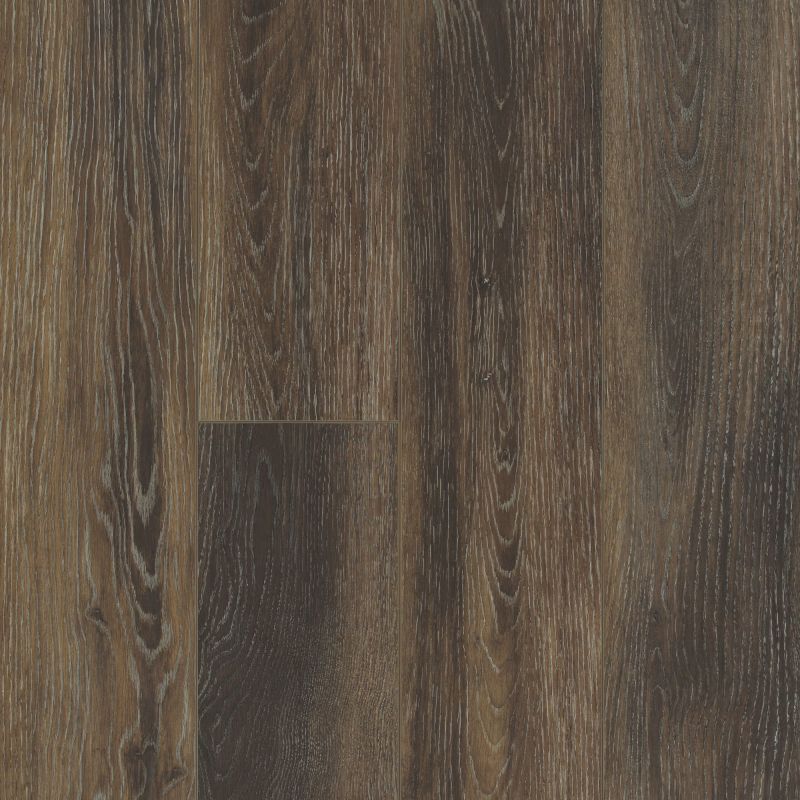 Shaw Floors Resilient Residential Tivoli Plus Cacao