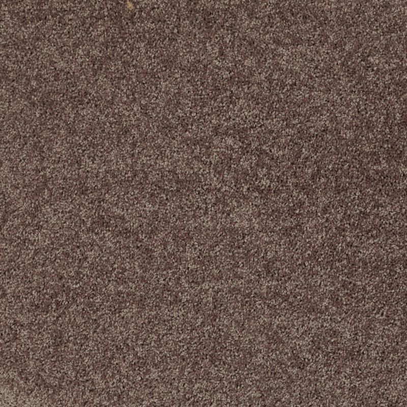 Shaw Floors SFA Take Part 12 Molasses