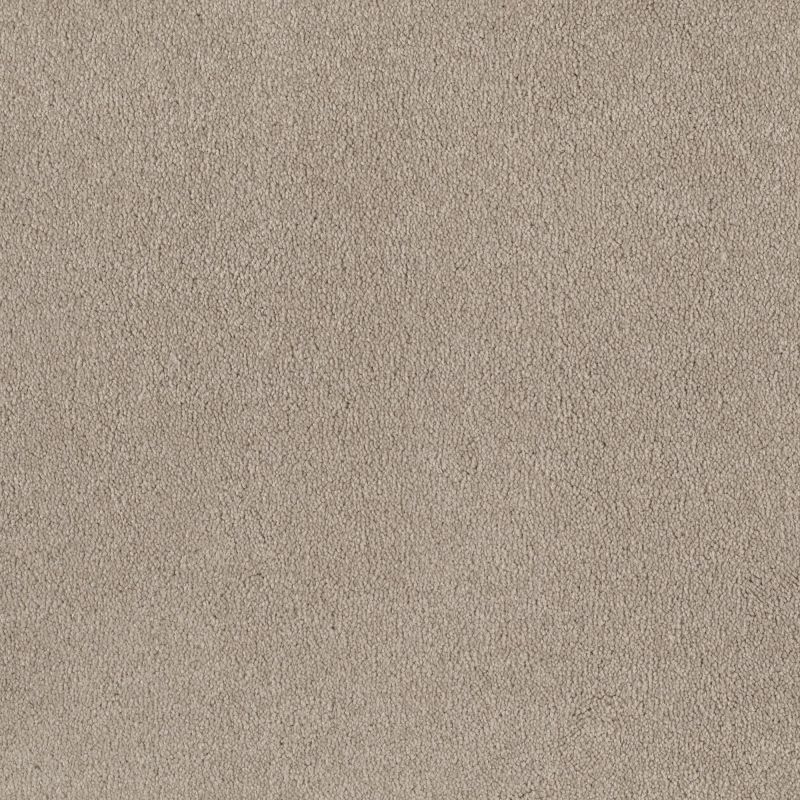 Shaw Floors SFA Born Better (s) Field Khaki