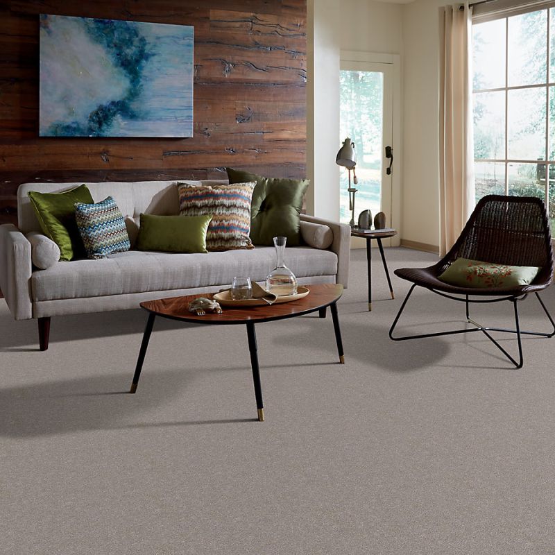 Shaw Floors Simply The Best Momentum I Canopy